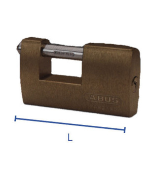 Cadenas type container