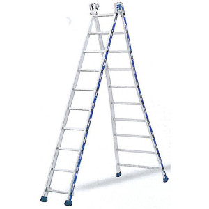 Echelle transformable 2 plans