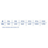 Goujon à bague acier