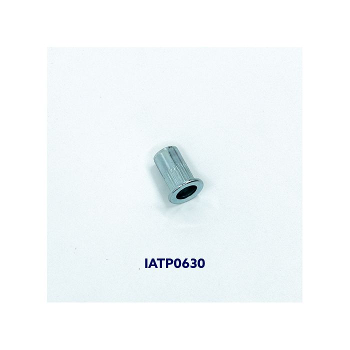 Ecrou aveugle cranté acier