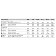 Goujon acier très haute résistance