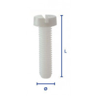 Vis tête cylindrique fendue nylon          